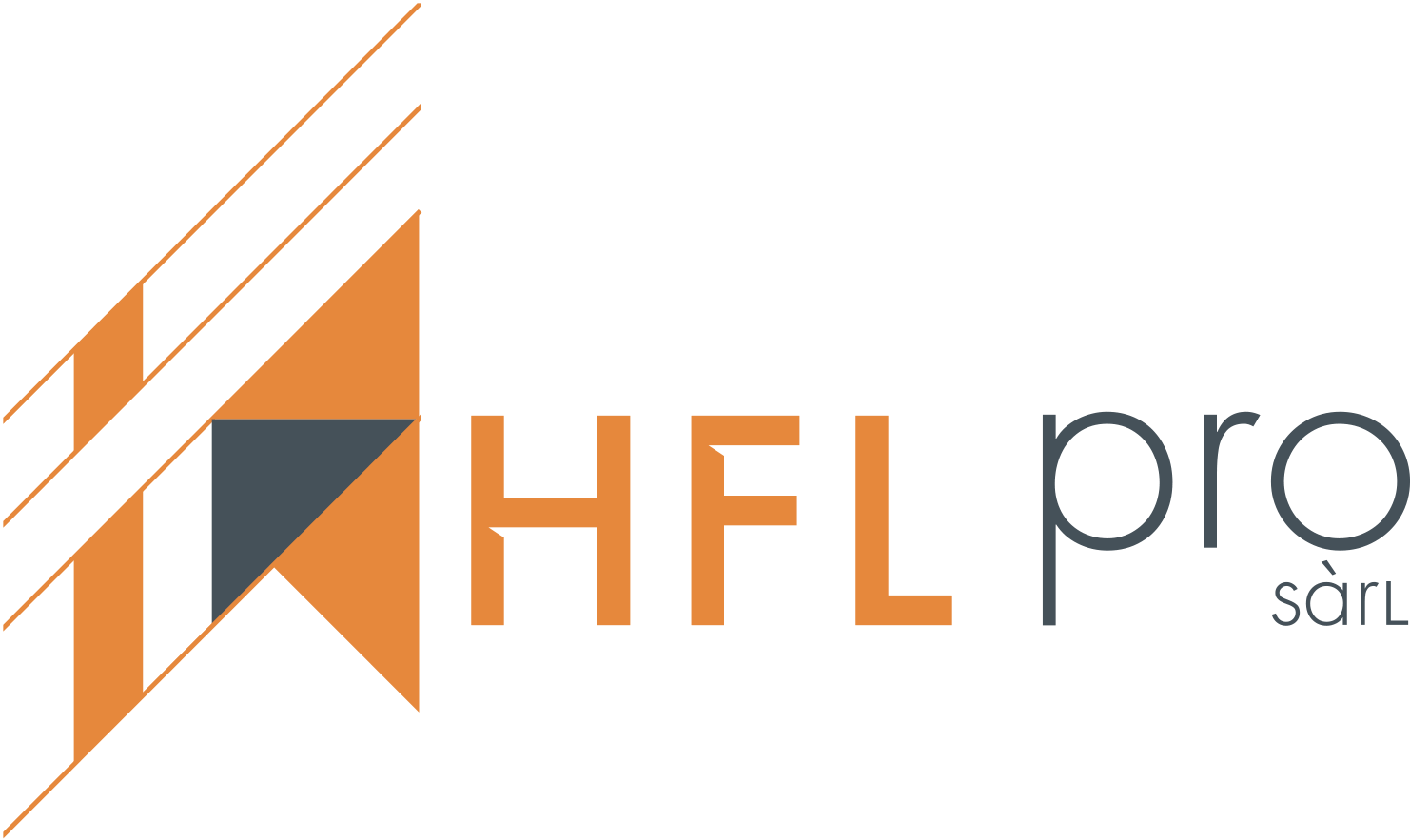 Logo HFL Pro Sàrl Logo de l'entreprise HFL Pro Sàrl – Travaux de construction et rénovation – Nyon & Suisse romande